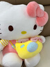 维尼小象正版HelloKitty凯蒂猫公仔毛绒kt猫玩偶六一儿童节礼物生日礼物 实拍图