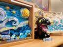 乐高LEGO 创意街景 百变高手D2C高难度拼插积木成人收藏礼物 10375 驯龙高手没牙仔 实拍图