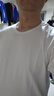 战浩【2件】冰丝莫代尔棉短袖t恤男夏季青年薄纯白色打底衫圆领半袖体 白色+白色 XL 建议【135-150斤】 实拍图