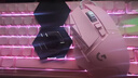 罗技（G） G502 HERO主宰者 有线鼠标 游戏鼠标  g502hero  可配重HERO引擎 礼盒送男友 RGB炫彩灯光 G502H-云樱粉+鼠标垫+防滑贴+鼠标盒 实拍图