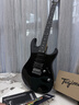 Tagima电吉他塔吉玛TG510 530 635单摇单单双男女初学者入门电吉他套装 TG510BK单单双【典雅黑】39英寸 实拍图