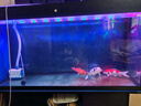 鱼缸灯led灯防水超亮全光谱三色小水族箱潜水专用彩灯灯管 24W三色变光114cm（120-130cm缸用） 实拍图