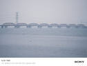 适马（SIGMA）70-200mm F2.8 DG DN OS | Sports 全画幅微单 恒定大光圈变焦镜头70200（索尼E卡口） 实拍图