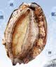 海鲜世家免处理鲍鱼纯肉 净重660g盒装 火锅烧烤食材 生鲜 贝类送礼 实拍图