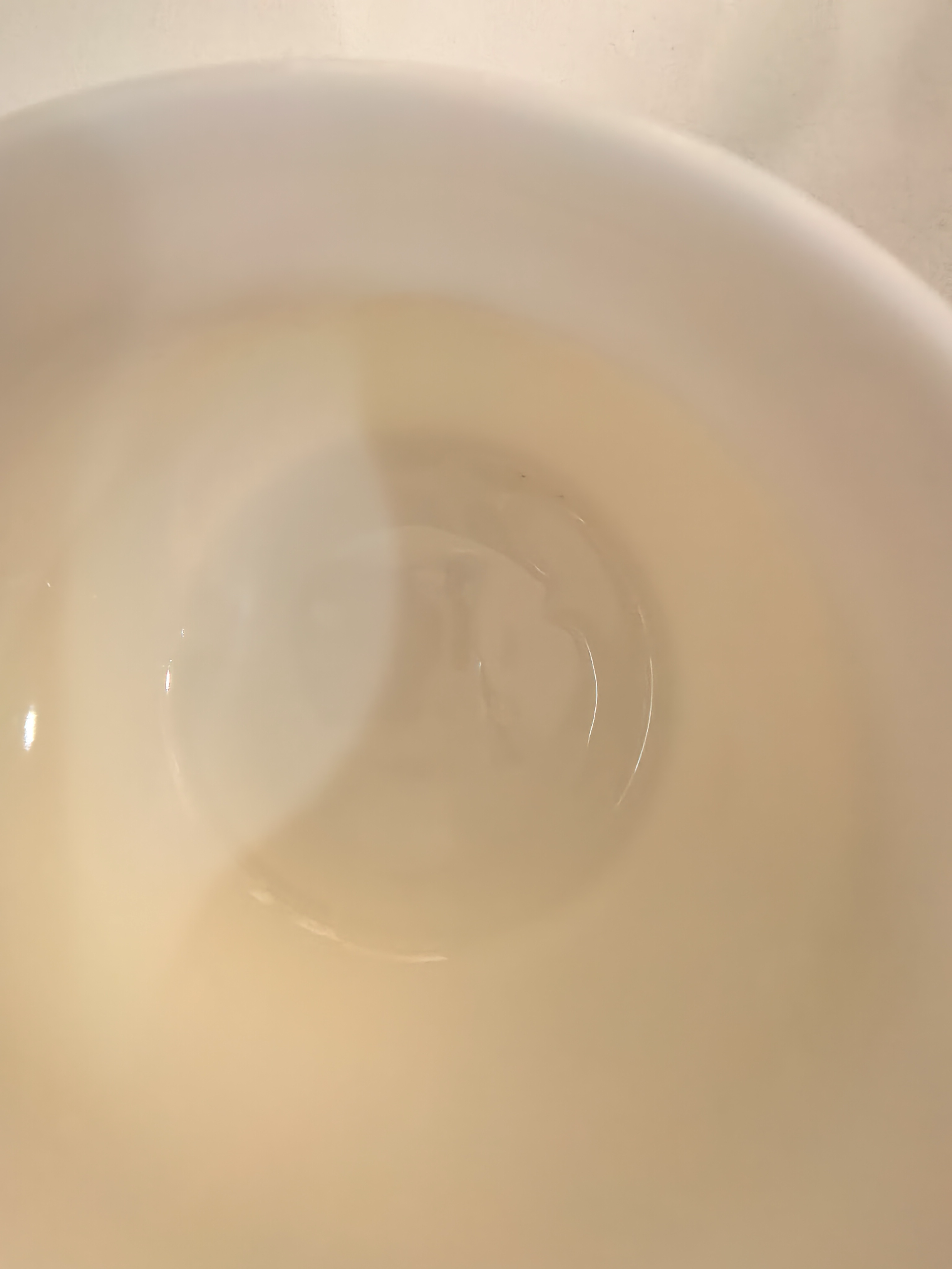 兮元记羊脂玉瓷马克杯陶瓷杯子办公室水杯大容量男女家用轻奢高级感茶杯 羊脂玉瓷言名水杯（带盖） 实拍图