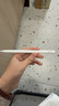 Apple/苹果 Pencil Pro 磁吸触控笔手写笔苹果笔电容笔书写绘画ipad笔 适用于iPad Pro/Air/mini机型 实拍图