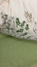 洁丽雅（Grace）7A抗菌100%纯棉四件套新疆棉床上用品床单被套200*230cm1.5/1.8米床 实拍图