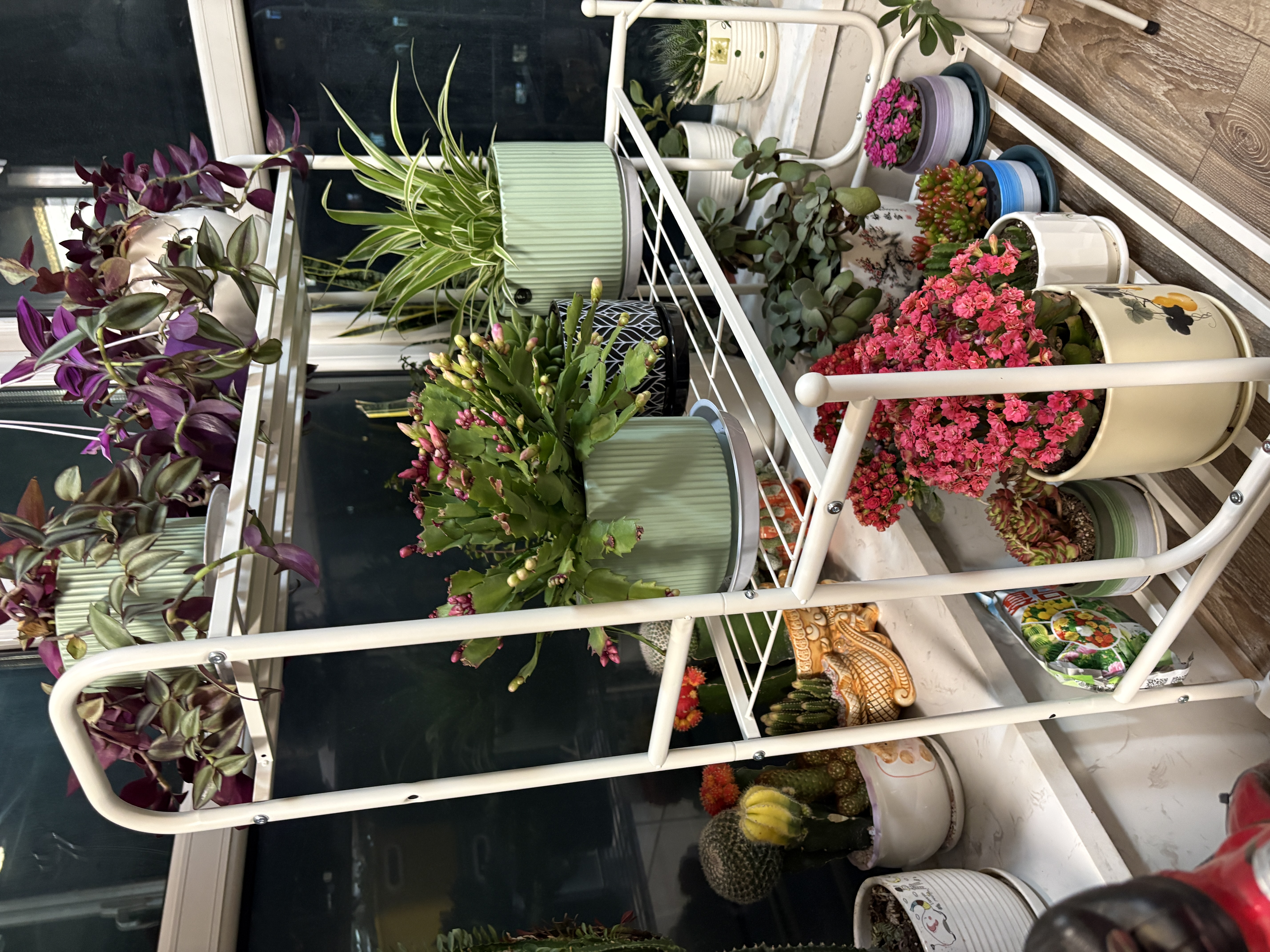 溢彩年华花架阳台多层高端花盆置物架组合落地式植物架多肉盆栽移动架5258 实拍图