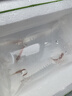 森悠（SARYOR）金苔鼠淡水鱼鱼缸清洁鱼观赏鱼热带鱼好养工具鱼吃垃圾鱼 金苔鼠鱼3条(4-6cm) 实拍图