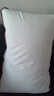 水星家纺枕头枕芯酒店枕头护颈枕头芯家用单个纯棉抗菌可水洗中枕48x74cm 实拍图