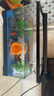 Barbarous Growth鱼缸水族箱客厅阳台家用中小型自循环懒人免换水生态塑料金鱼缸 大号黑色【过滤氛围套餐】 实拍图