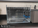 坤宁王金晶超白玻璃鱼缸40*30方缸家用小型裸缸桌面造景溪流缸乌龟缸 实拍图