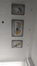 诗六艺家饰客厅装饰画北欧现代简约沙发背景墙挂画三联画大气轻奢壁画晶瓷画 吉祥如意（铝合金外框） 晶瓷画左右50*70+中间100*70亮面 实拍图