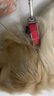 多尼斯（DOGNESS）狗狗牵引绳遛狗绳狗链子项圈中大型犬拉布拉多柴犬金毛边牧 红L 实拍图