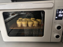 长帝（changdi）国家补贴家用烤箱猫小易pro电烤箱风炉平炉空气炸42升大容量多功能烘焙炸烤一体机烧烤节日礼物 实拍图