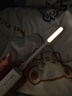 CUKTECH酷态科随身LED灯迷你便携USB小夜灯移动电源充电宝键盘灯护眼台灯学生宿舍节能可调节 白色 实拍图