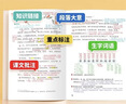 2026斗半匠课堂笔记三年级下册语文数学英语人教版同步教材随堂笔记教材全解小学生课前预习课后复习辅导书（3册） 实拍图