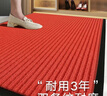 大江入户地垫入户门地垫脚垫2026年新款门垫地毯门口入户90x150cm 实拍图