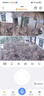 长城无线家用摄像头手机远程监控器360度无死角带夜视全景全景语音对话农村家庭室外高清户外防水球机 实拍图