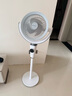 艾美特（AIRMATE）【小暴风PRO】空气循环扇家用大风力摇头电风扇卧室安静轻音小风扇桌面台式节能落地扇电扇 X231 实拍图