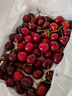 京地达大连美早大樱桃J级大果2.8斤 单果8-10g 新鲜水果 源头直发 实拍图