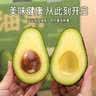 山姆大叔 金奖·哈斯牛油果【闪送】智利鳄梨非即食新鲜牛油果水果礼盒装 【金奖级】特级果丨约130-150g 8枚【热销* 超值推荐】普装 实拍图