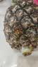 鑫思特（XST）过家家厨房玩具做饭炒菜语音电磁炉套装男3-6岁7六一儿童节礼物 实拍图