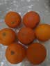 果果牛湖南麻阳冰糖橙 应当季新鲜水果手剥甜橙子高山夏脐血多汁 可选 净重9斤(单果60mm以下)实惠 实拍图