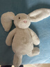 Jellycat害羞乳白色邦尼兔动物毛绒玩偶安抚玩偶娃娃送礼生日礼物 害羞乳白色邦尼兔 Medium 实拍图