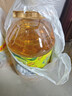 金龙鱼 食用油 非转基因 物理压榨玉米油6.18L（蕴含植物甾醇） 实拍图