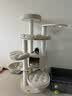 兽牌森林猫爬架大型猫树猫窝一体豪华剑麻猫架太空舱缅因大猫暖冬适用 森林Plus【实木上漆款】 实拍图