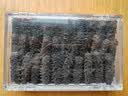 赵家 淡干海参 250g25-35只半斤装 红岛底播刺参 家用实惠 海产干货 实拍图