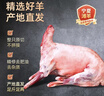 寻滩鲜宁夏盐碱地滩羊肉全羊整只羊净重20斤烤全羊清真中秋礼盒源头直发 实拍图