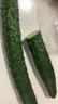 长黄瓜约600g 实拍图