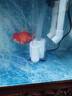 森森 小鲤鱼缸水泵小型潜水泵过滤泵抽水泵XQP-1000 15W  实拍图