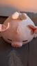 名创优品（MINISO）小猪B-BO翅膀款趴毛绒公仔玩具玩偶抱枕娃娃靠枕生日礼物女 实拍图