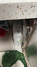 米家【净水+管线机+前置】小米净水器N1 800G大通量+前置过滤器Pro+管线机 小米净水器套装C 实拍图
