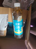 三得利【新品上市】清新柔和 枇杷花白茶 0糖0脂0能量 500ml*15 实拍图
