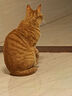 珍致（FancyFeast）猫粮慕斯猫罐头湿粮奶糕幼猫粮全价粮85g*24罐混合口味 实拍图