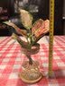 九千谷水培绿植吉利红水培植物室内中国红如意含玻璃瓶竹托源头直发 实拍图