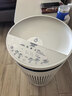 布鲁雅尔（Blueair）加湿器 DH5i空气净化器加湿净化一体机静音无雾加湿家用客厅卧室除过敏原母婴级认证 实拍图