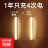 人体感应灯长条灯现代简约磁吸LED长条感应灯充电式衣橱柜小夜灯 白光10厘米【常亮+感应】 充电磁吸感应灯【2个装】 实拍图