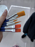 得力（deli）6支装画笔套装学生艺考手绘专业级大师(水粉丙烯油画水彩颜料)画笔套装73885 实拍图