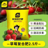 史丹利草莓专用有机复合肥料2.5斤 家用植物盆栽营养液促花蔬果水溶肥 实拍图
