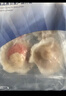 富海锦新鲜大号带黄扇贝肉1斤 无沙 火锅烧烤食材 海鲜贝类 聚餐送礼 实拍图