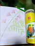 得力（deli）水溶性彩铅小学生画画用彩铅笔手绘涂色彩色铅笔绘画儿童美术画笔油性彩铅笔 【油性】彩色铅笔 12色 实拍图
