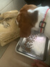 好主人狗粮 全犬种通用幼犬粮2.5kg泰迪金毛拉布拉多比熊天然粮5斤/20斤 全犬种幼犬粮5斤 实拍图