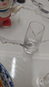 青苹果白酒杯分酒器套装 加厚玻璃一口杯品鉴小酒杯烈酒杯二两杯分酒壶 实拍图