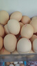 京鲜生柴鸡蛋30枚 3斤 无抗生素 谷物喂养鲜鸡蛋 源头直发 实拍图