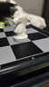 友邦（UB） 国际象棋黑白磁性折叠便携成人儿童学生教学用棋4812B-C(大号) 实拍图